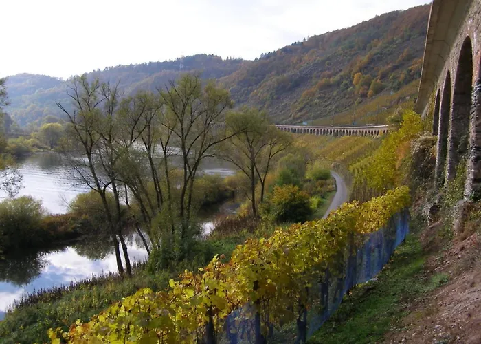 Haus Burgenblick Appartement Bullay